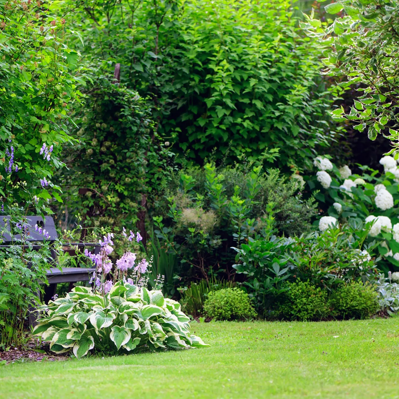 JM Jardines y Piscinas